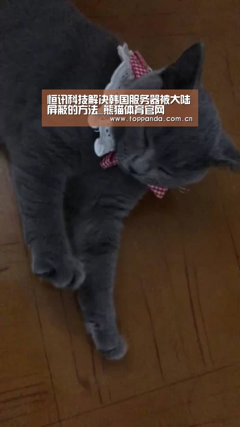 熊猫体育平台