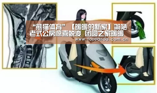 熊猫体育官网