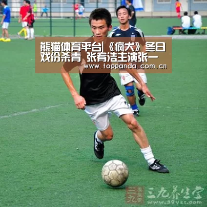 db游戏