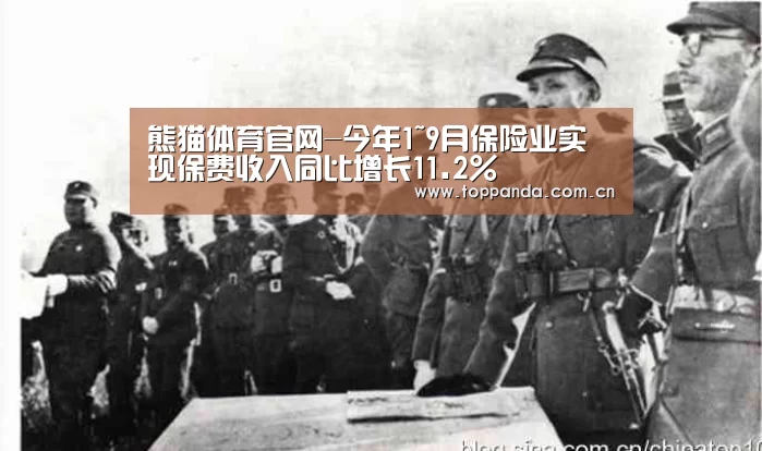 熊猫体育