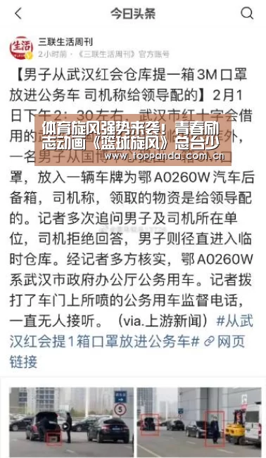 体育旋风强势来袭！青春励志动画《篮球旋风》总台少儿热播中：熊猫体育