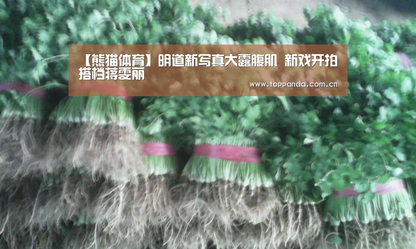 【熊猫体育】明道新写真大露腹肌 新戏开拍搭档蒋雯丽