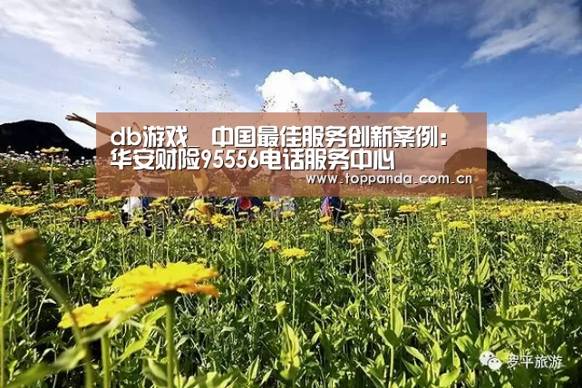 db游戏_
中国最佳服务创新案例:华安财险95556电话服务中心(图2) 熊猫体育