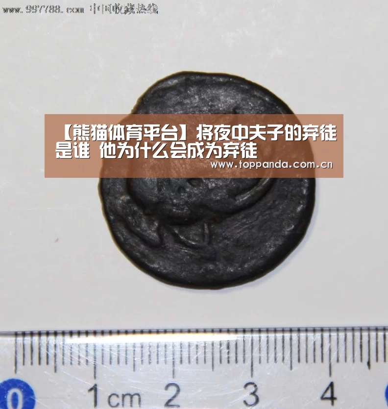 【熊猫体育平台】将夜中夫子的弃徒是谁 他为什么会成为弃徒