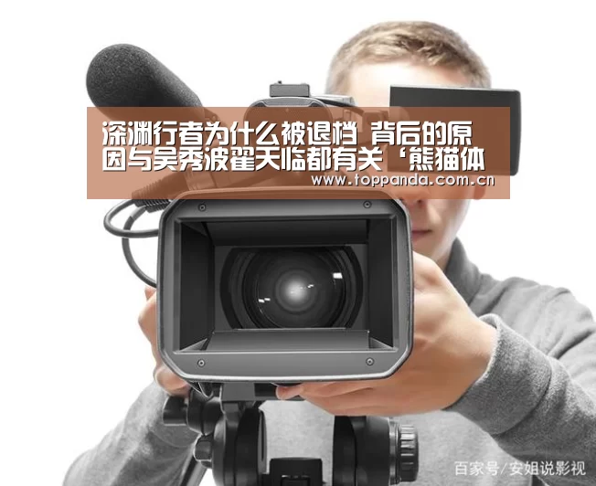 深渊行者为什么被退档 背后的原因与吴秀波翟天临都有关‘熊猫体育平台’