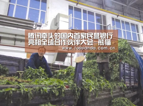 腾讯牵头的国内首家民营银行亮相全球合作伙伴大会-熊猫体育
