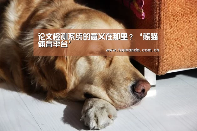 论文检测系统的意义在那里?‘熊猫体育平台’(图3) 熊猫体育官网