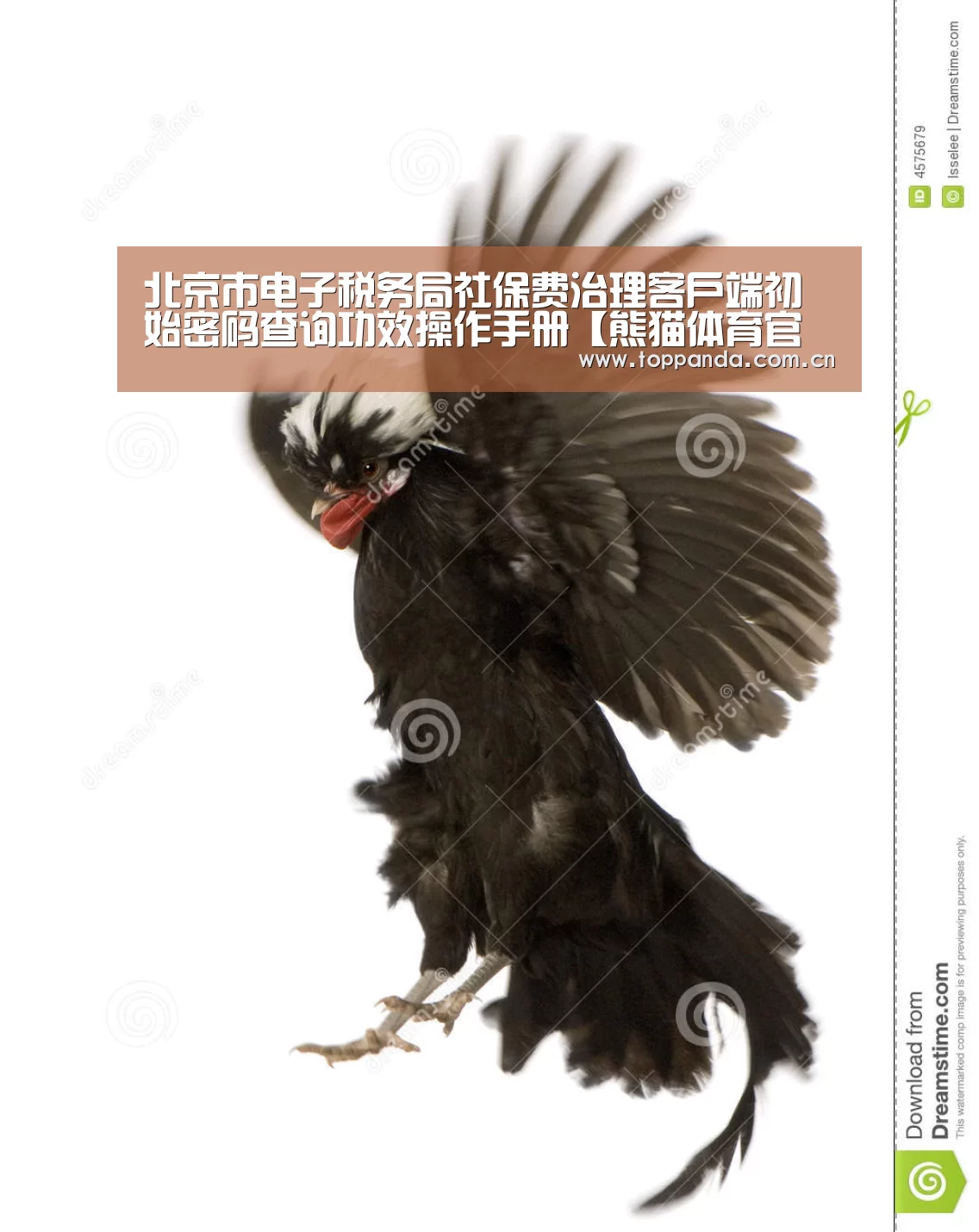 北京市电子税务局社保费治理客户端初始密码查询功效操作手册【熊猫体育官网】
