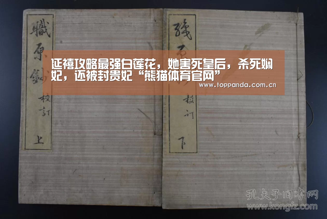 延禧攻略最强白莲花,她害死皇后,杀死娴妃,还被封贵妃“熊猫体育官网”(图2) db游戏