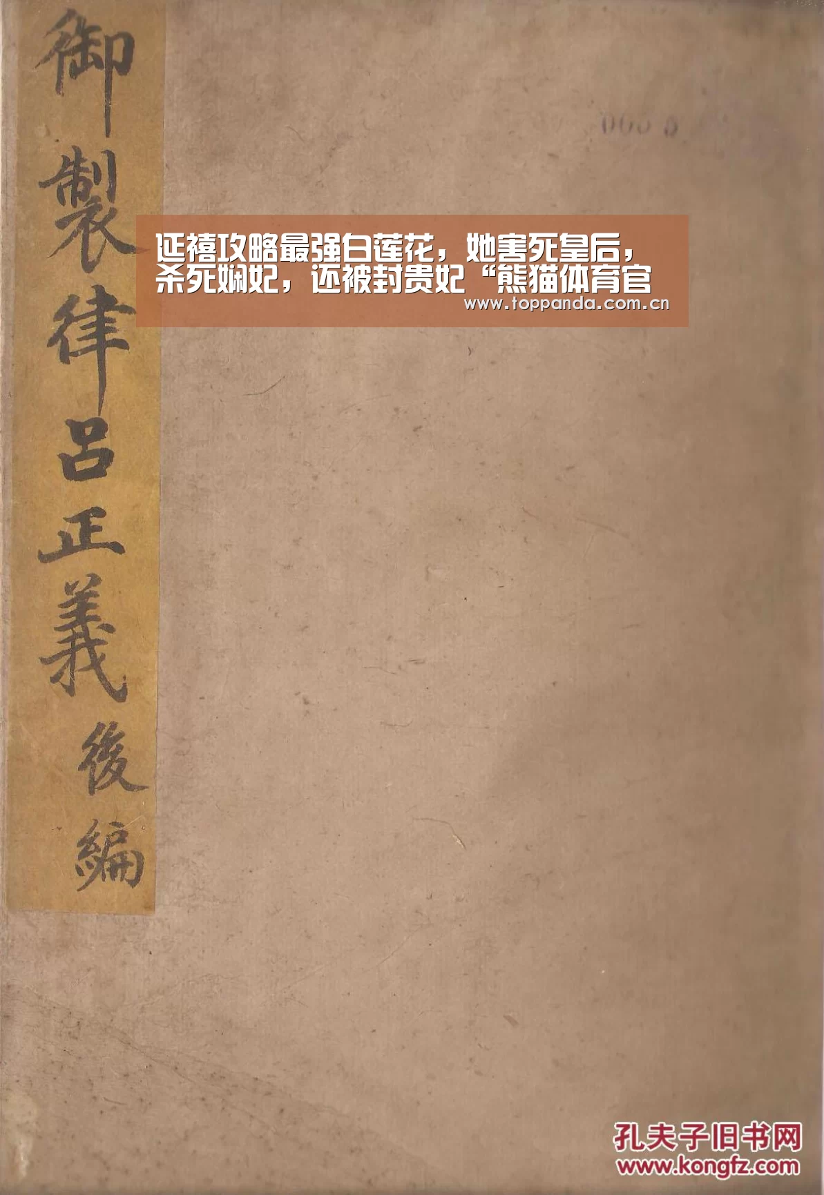 延禧攻略最强白莲花,她害死皇后,杀死娴妃,还被封贵妃“熊猫体育官网”(图4) db游戏